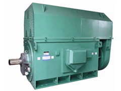 甘州Y系列6KV高压电机